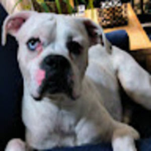 Meet your Posher, Denise